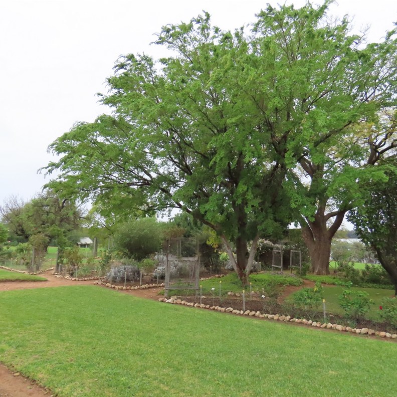 Yanga Homestead 5