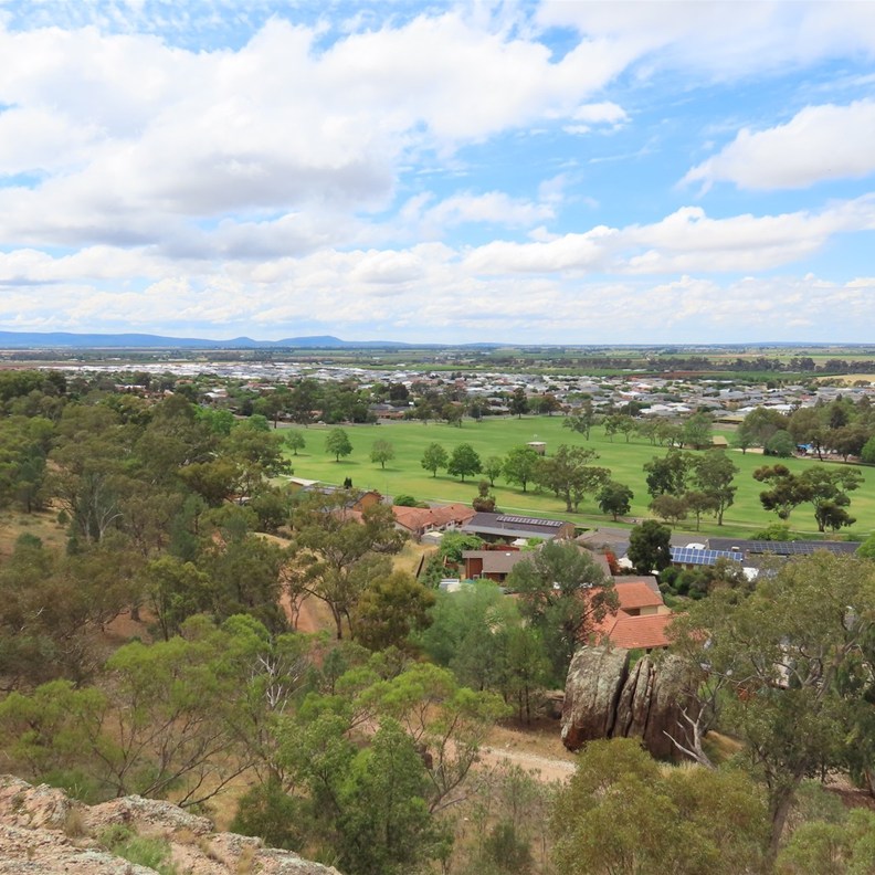 First Lookout 