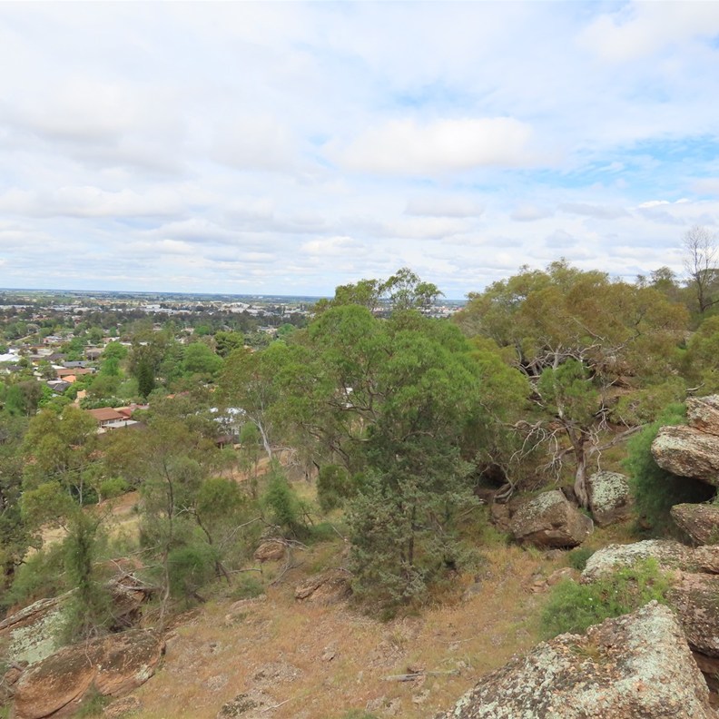 First Lookout 3