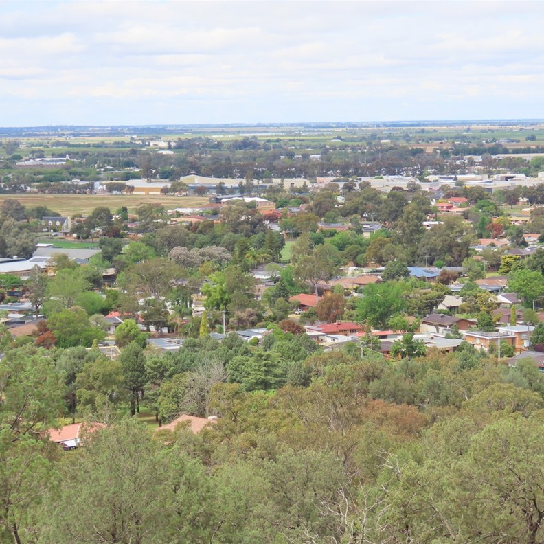 Second Lookout 5