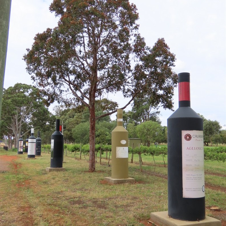 Big Wine Bottles