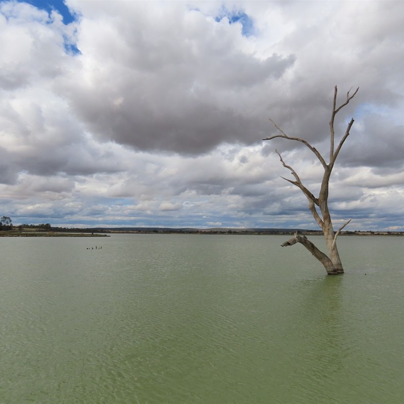 Lake Wyngang