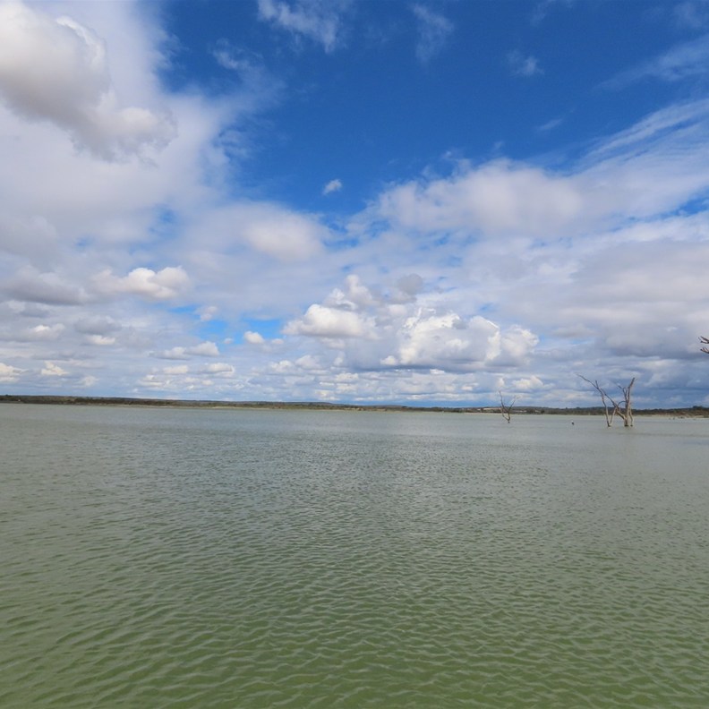 Lake Wyngang 3