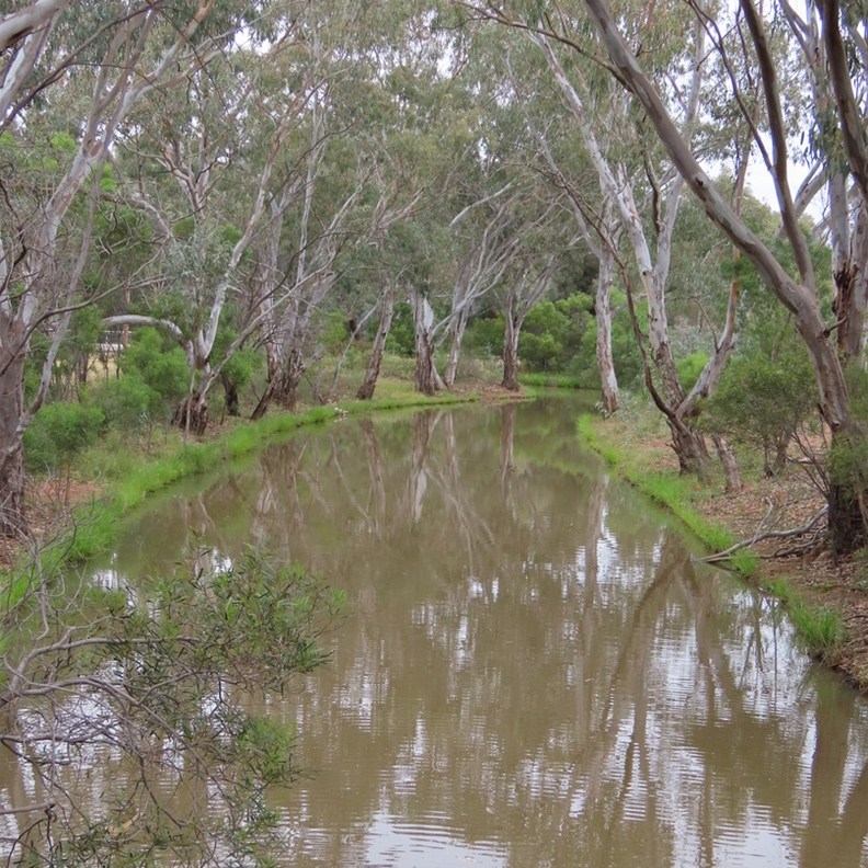 Cooinda Reserve 2