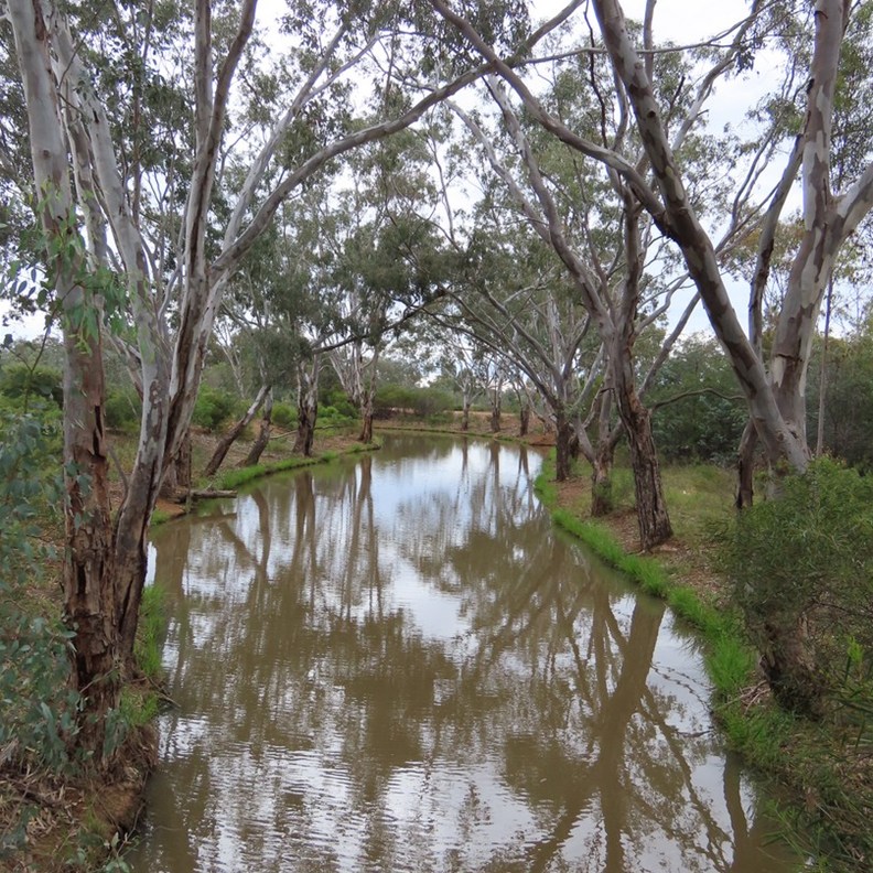 Cooinda Reserve 3