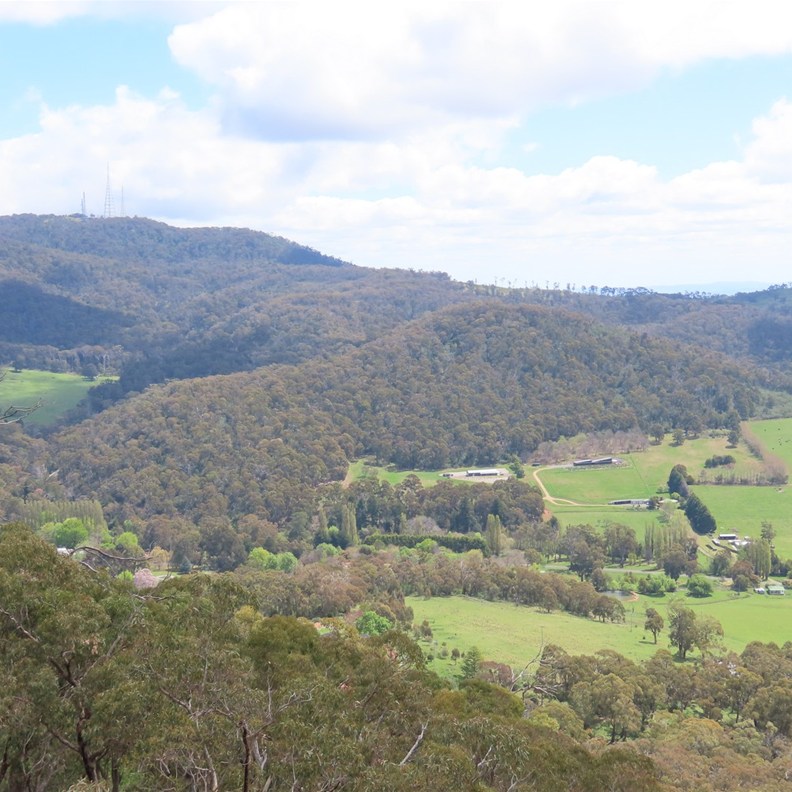 Towac Pinnacle Lookout