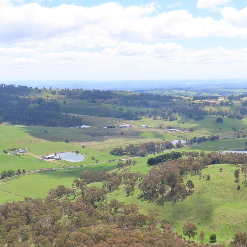Towac Pinnacle Lookout 2
