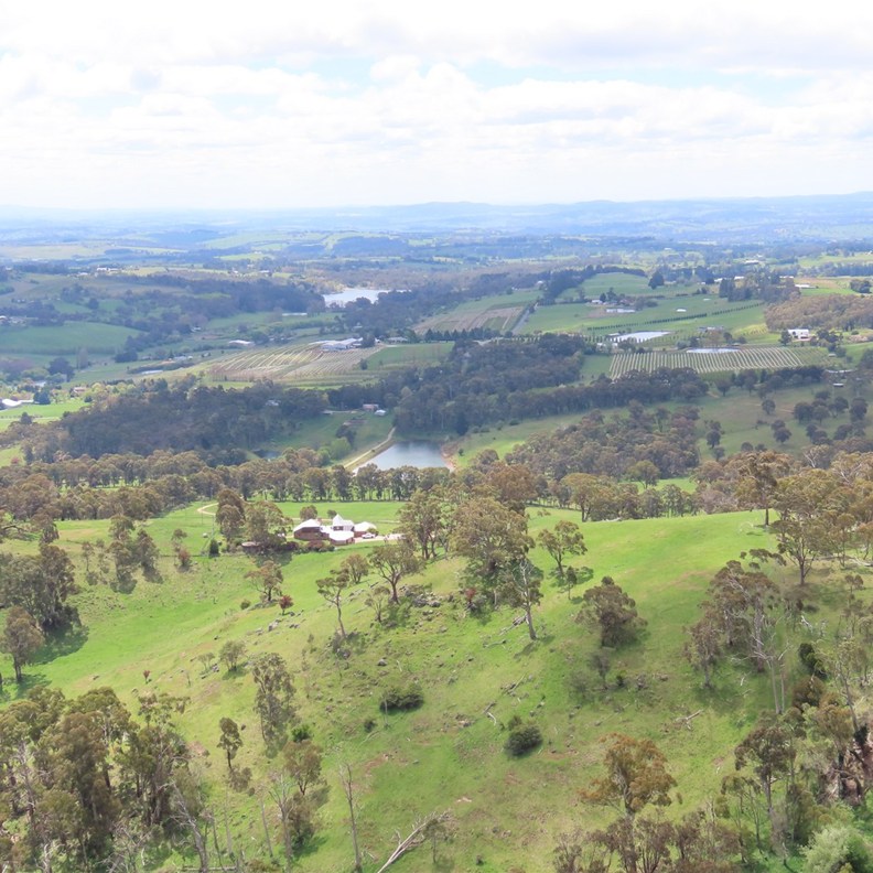 Towac Pinnacle Lookout 3