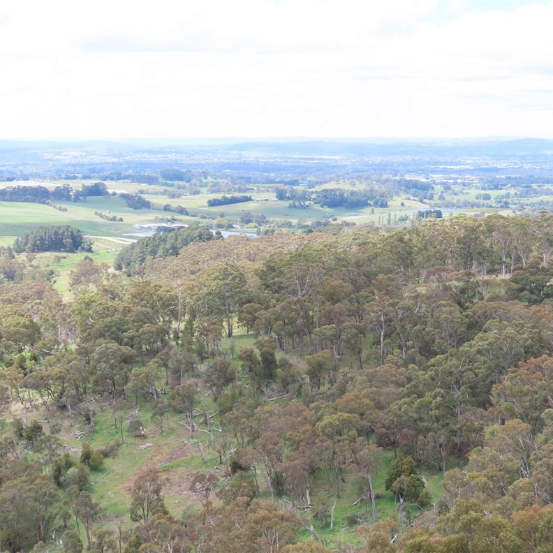 Towac Pinnacle Lookout 4