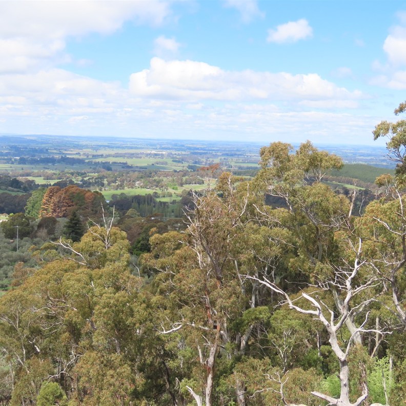 Towac Pinnacle Lookout 6