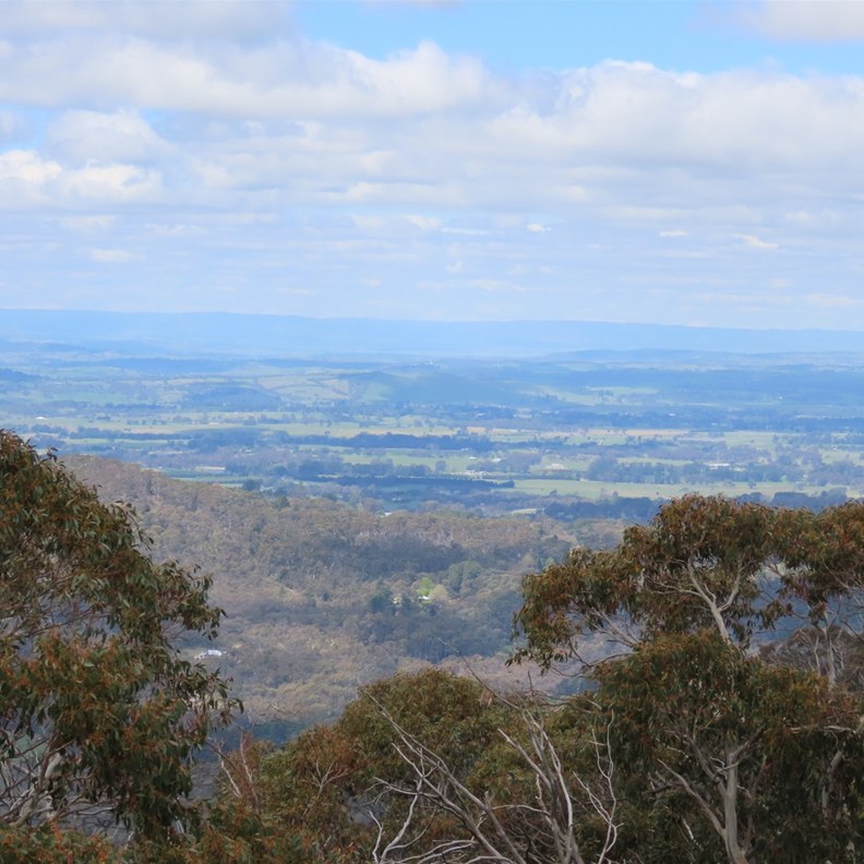 Mount Canobolas 2