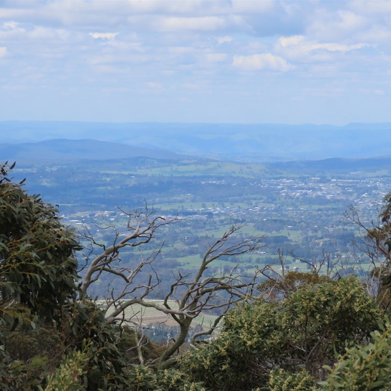 Mount Canobolas 3