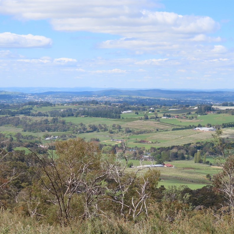 Mount Canobolas 5