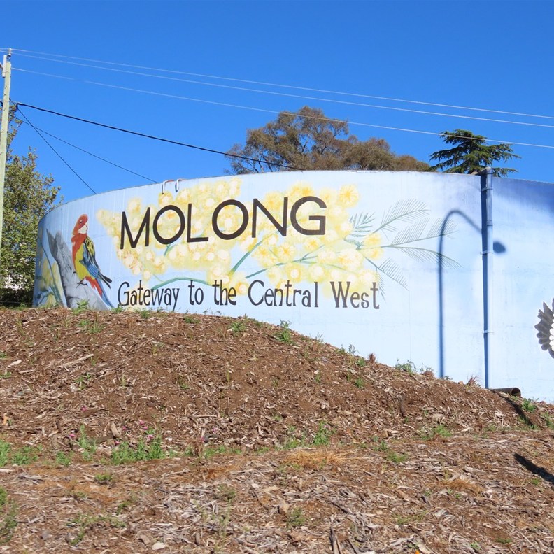 Molong