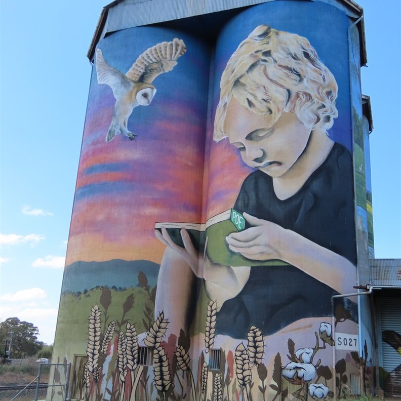 Dunedoo Silo Art