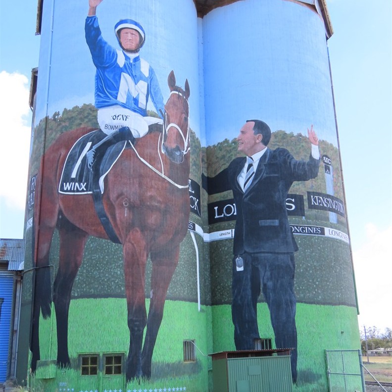 Dunedoo Silo Art 2