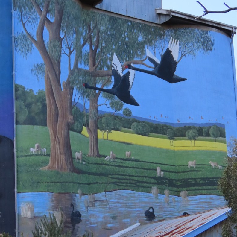 Dunedoo Silo Art 3