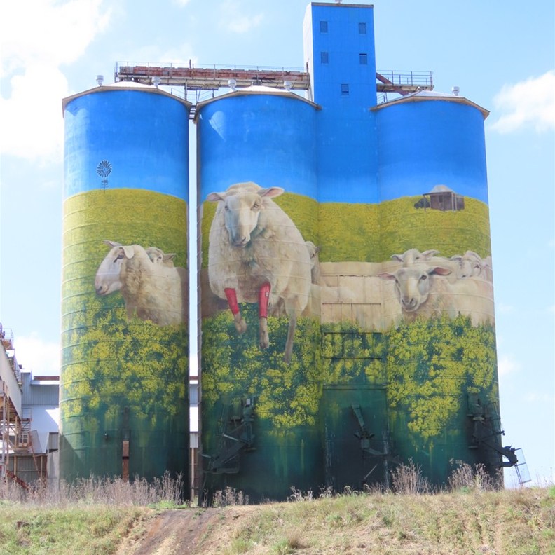 Merriwa Silo Art