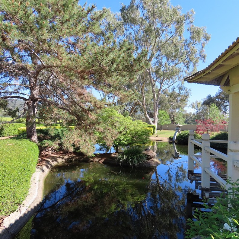 Japanese Garden