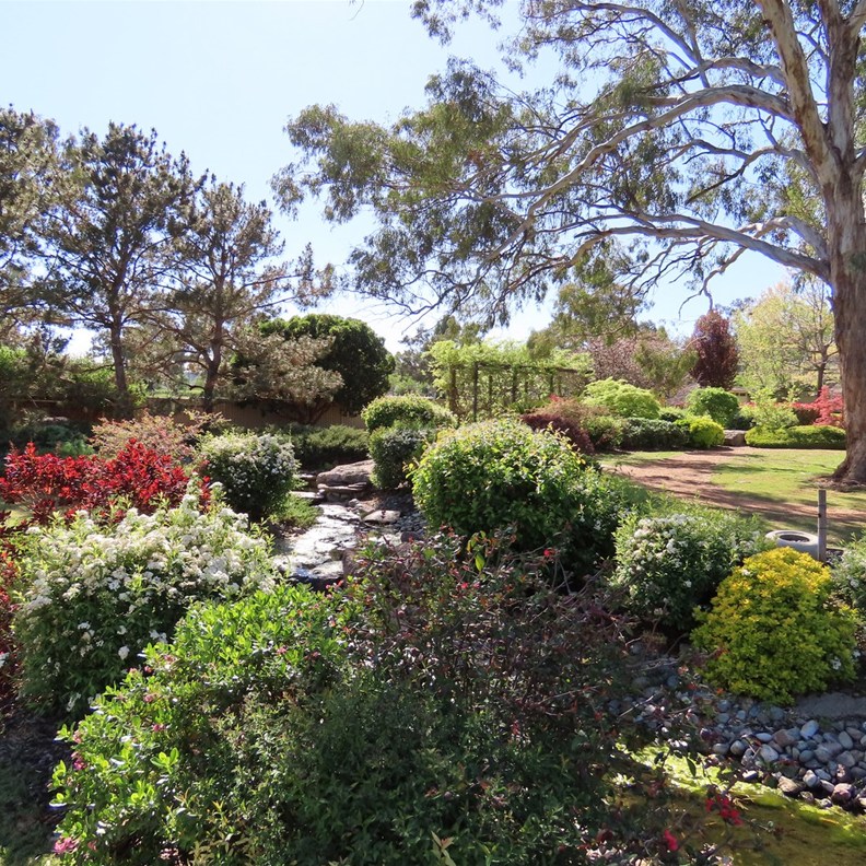 Japanese Garden 3