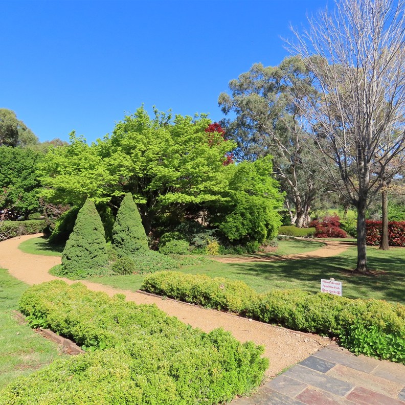 Japanese Garden 4