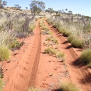 The canning west of Well 45