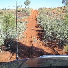 The one that stopped me!