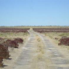 Some of the track across Guli Lake CSR