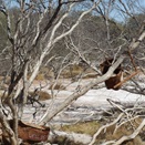 The ruins of Well 35 - CSR