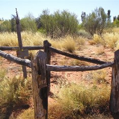 R.I.P Chinaman - Well 37 CSR