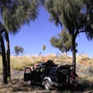 Morning tea under the desert oaks - CSR