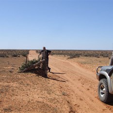 The passengers duty...The gate!