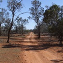 The track towards Scotia Sanctuary