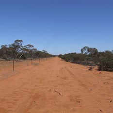 Tarawi Nature Reserve Boundary disappearing into the distance.