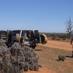 Morning tea by the Pine Camp - Springwood Road NSW