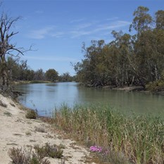 The beautiful Hancock Creek in the Chowilla Game Reserve
