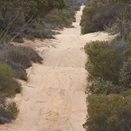 The moguled sandy path of the Border Track