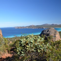 Lucky Bay