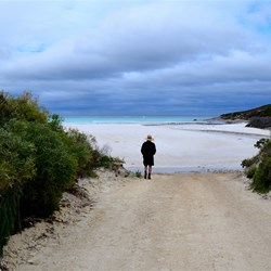 Cape Arid..the road onto the beach