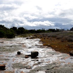 Len Otte walk at Cape Arid