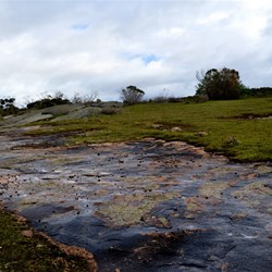 Len Otte walk at Cape Arid