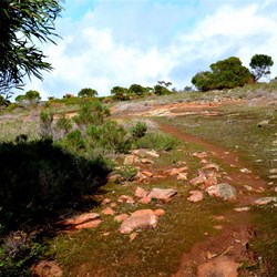 walk at Cape Arid