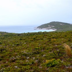 views of coastline at Cape Arid