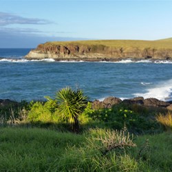 Coastline from Easts Beach Kiama