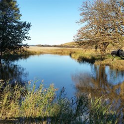 small creek runs through the caravan park at Easts Beach Kiama