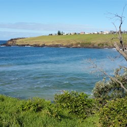 Coastline Kiama