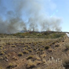The fire raging besides the Ripon Hills Road