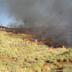 Flames stripping the Pilbara country bare