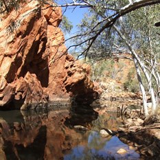 One of the large pools on the trek along the QDB gorge