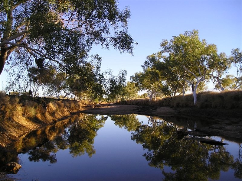 Of Rudall Rivers Rudall River - Scrub bashing to Hanging Rock and back. @ ExplorOz Blogs
